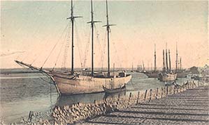historia-do-bacalhau
